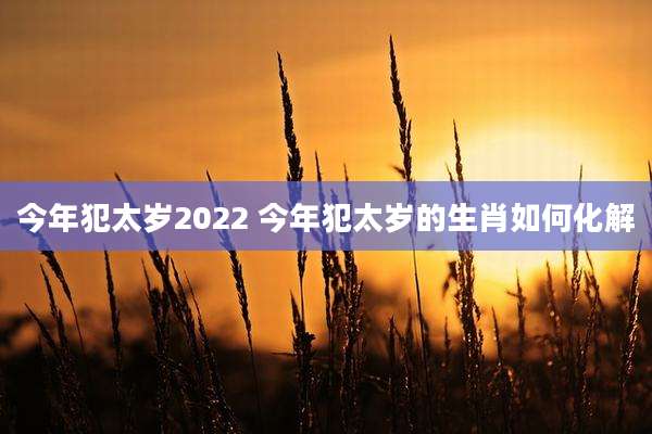 今年犯太岁2022 今年犯太岁的生肖如何化解