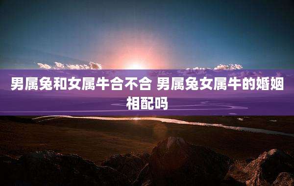 男属兔和女属牛合不合 男属兔女属牛的婚姻相配吗