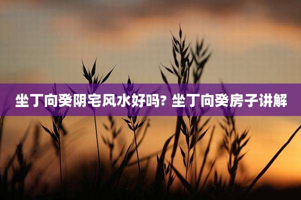 坐丁向癸阴宅风水好吗? 坐丁向癸房子讲解