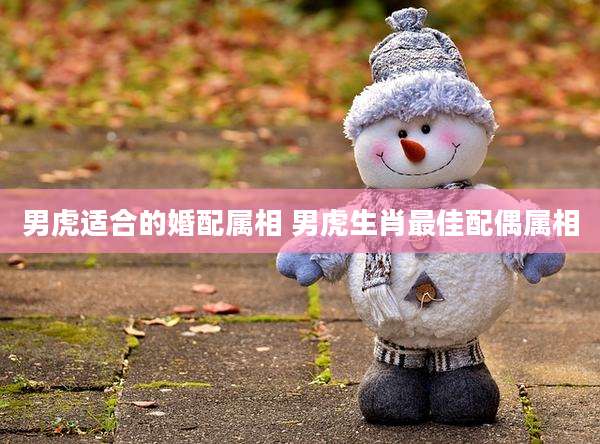 男虎适合的婚配属相 男虎生肖最佳配偶属相