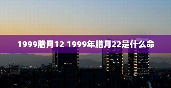 1999腊月12 1999年腊月22是什么命