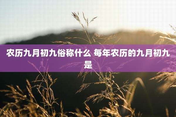 农历九月初九俗称什么 每年农历的九月初九是