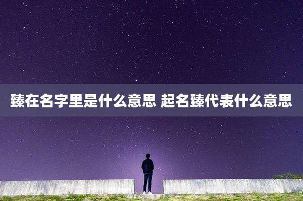 臻在名字里是什么意思 起名臻代表什么意思