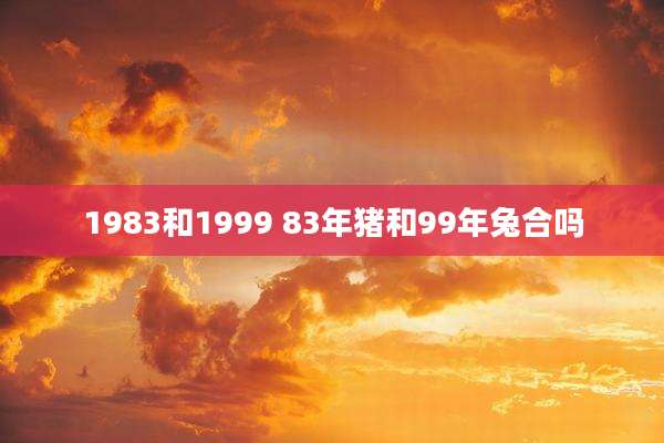 1983和1999 83年猪和99年兔合吗