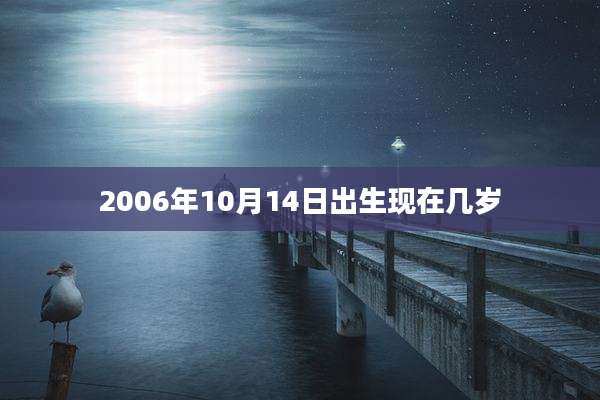 2006年10月14日出生现在几岁