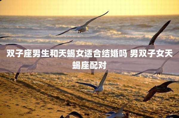 双子座男生和天蝎女适合结婚吗 男双子女天蝎座配对
