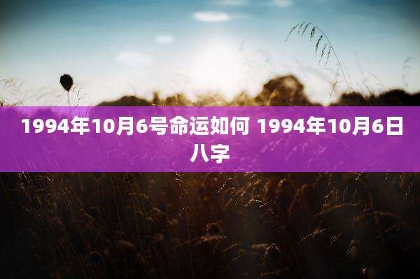 1994年10月6号命运如何 1994年10月6日八字