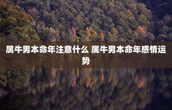 属牛男本命年注意什么 属牛男本命年感情运势