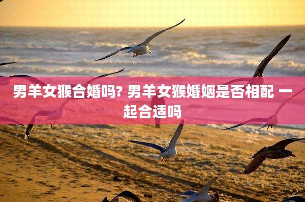 男羊女猴合婚吗? 男羊女猴婚姻是否相配 一起合适吗