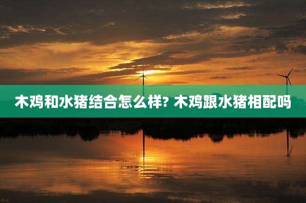 木鸡和水猪结合怎么样? 木鸡跟水猪相配吗