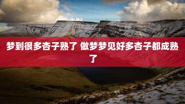 梦到很多杏子熟了 做梦梦见好多杏子都成熟了