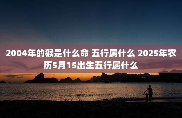 2004年的猴是什么命 五行属什么 2025年农历5月15出生五行属什么