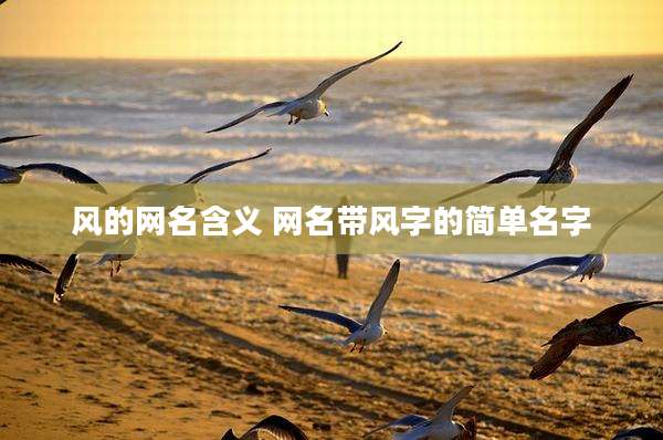 风的网名含义 网名带风字的简单名字