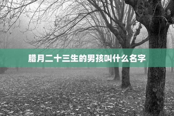 腊月二十三生的男孩叫什么名字