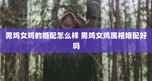 男鸡女鸡的婚配怎么样 男鸡女鸡属相婚配好吗