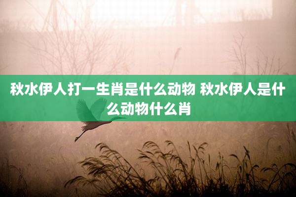 秋水伊人打一生肖是什么动物 秋水伊人是什么动物什么肖