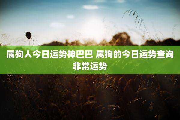 属狗人今日运势神巴巴 属狗的今日运势查询非常运势