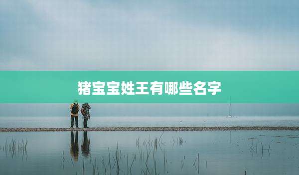 猪宝宝姓王有哪些名字