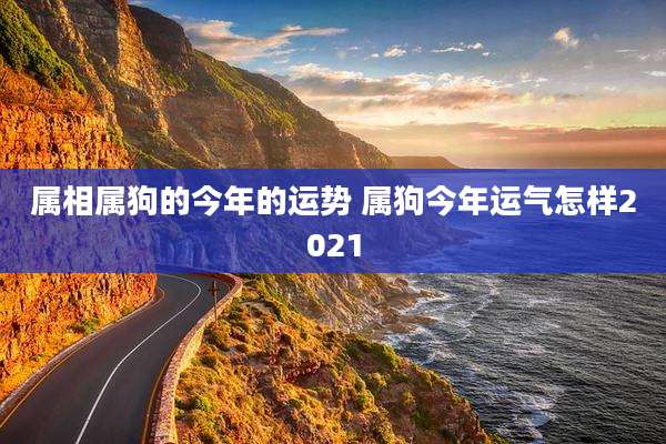 属相属狗的今年的运势 属狗今年运气怎样2021