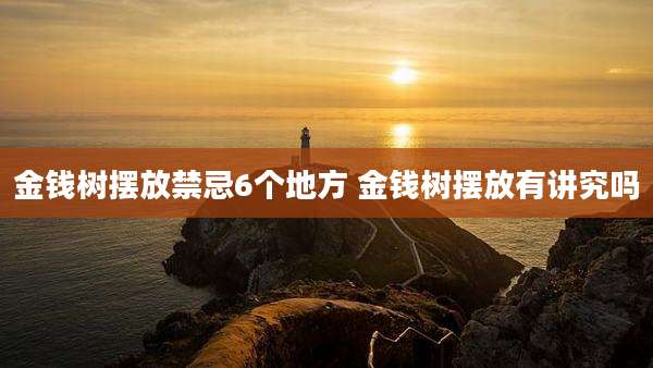 金钱树摆放禁忌6个地方 金钱树摆放有讲究吗