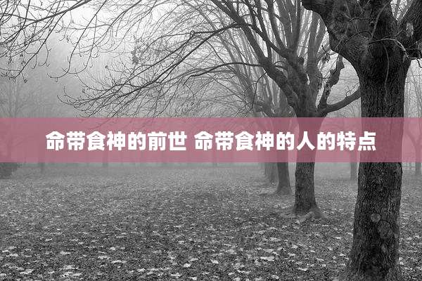 命带食神的前世 命带食神的人的特点