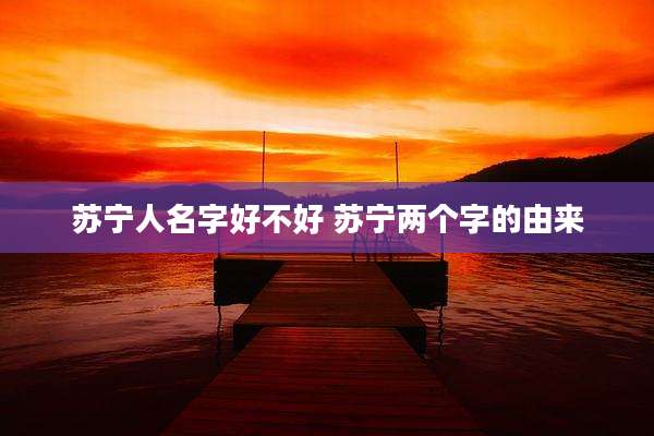 苏宁人名字好不好 苏宁两个字的由来