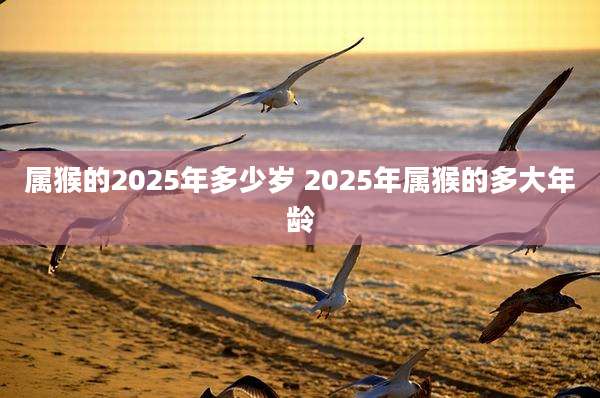 属猴的2025年多少岁 2025年属猴的多大年龄