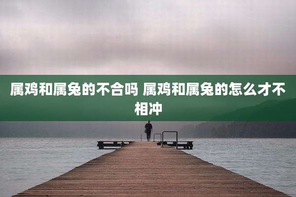 属鸡和属兔的不合吗 属鸡和属兔的怎么才不相冲
