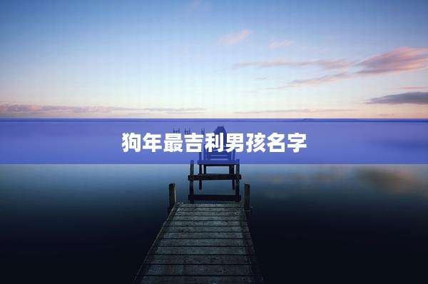 狗年最吉利男孩名字