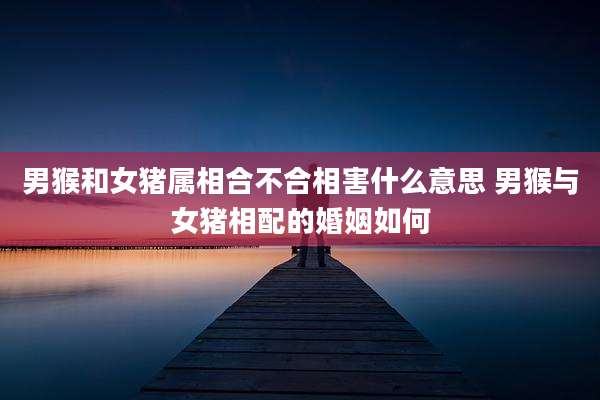 男猴和女猪属相合不合相害什么意思 男猴与女猪相配的婚姻如何