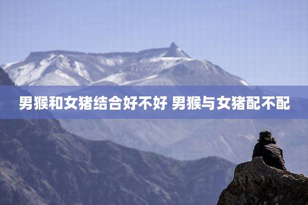 男猴和女猪结合好不好 男猴与女猪配不配