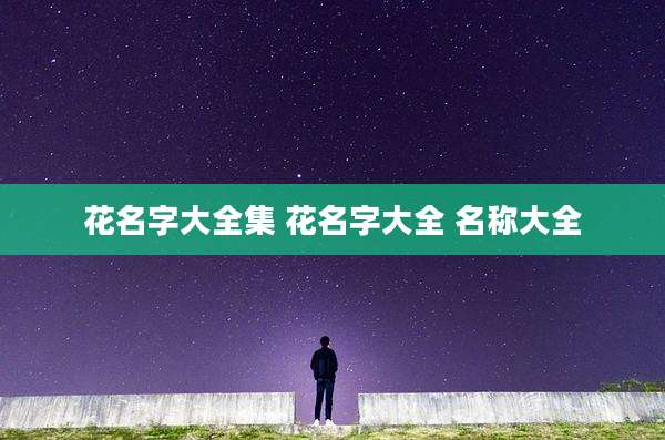 花名字大全集 花名字大全 名称大全