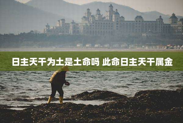 日主天干为土是土命吗 此命日主天干属金