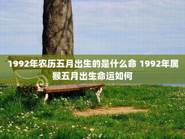 1992年农历五月出生的是什么命 1992年属猴五月出生命运如何