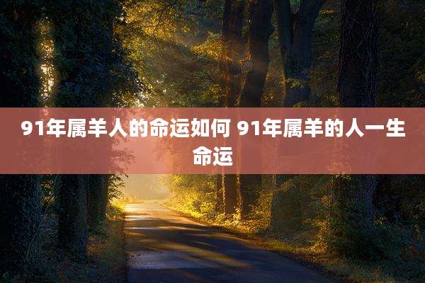 91年属羊人的命运如何 91年属羊的人一生命运