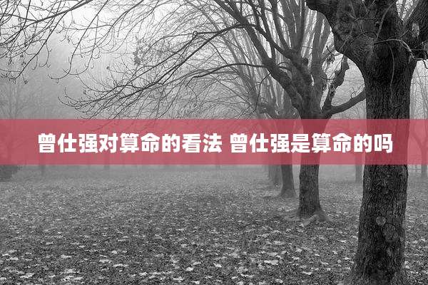 曾仕强对算命的看法 曾仕强是算命的吗