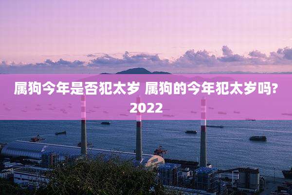 属狗今年是否犯太岁 属狗的今年犯太岁吗?2022