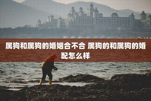 属狗和属狗的婚姻合不合 属狗的和属狗的婚配怎么样