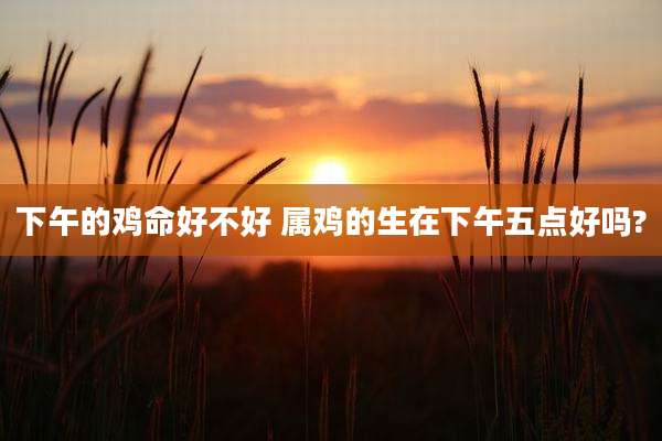 下午的鸡命好不好 属鸡的生在下午五点好吗?