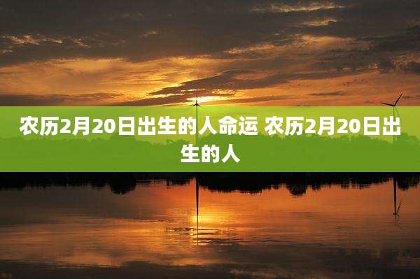 农历2月20日出生的人命运 农历2月20日出生的人