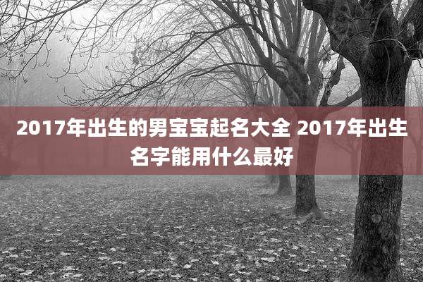 2017年出生的男宝宝起名大全 2017年出生名字能用什么最好