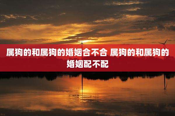 属狗的和属狗的婚姻合不合 属狗的和属狗的婚姻配不配