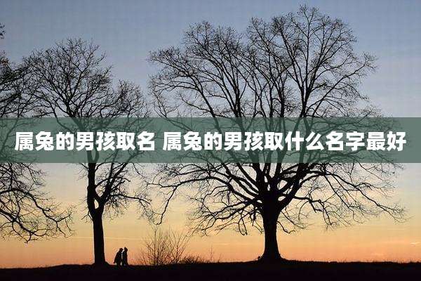 属兔的男孩取名 属兔的男孩取什么名字最好