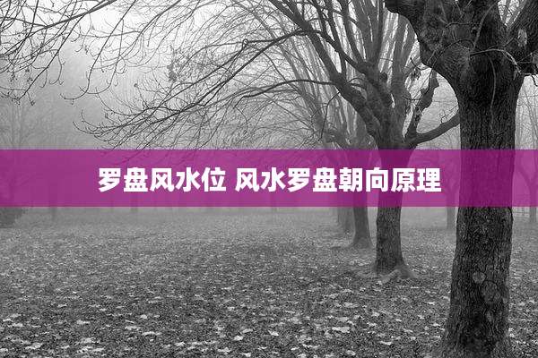 罗盘风水位 风水罗盘朝向原理