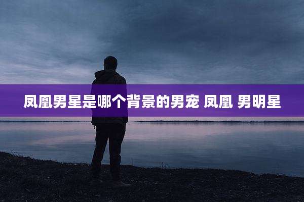 凤凰男星是哪个背景的男宠 凤凰 男明星
