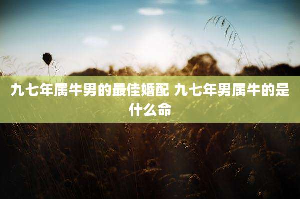 九七年属牛男的最佳婚配 九七年男属牛的是什么命