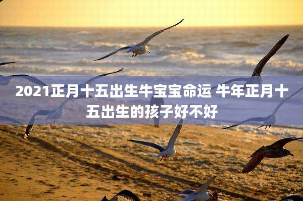 2021正月十五出生牛宝宝命运 牛年正月十五出生的孩子好不好
