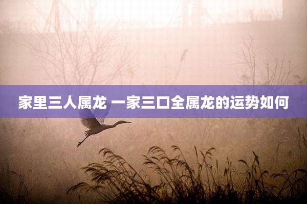 家里三人属龙 一家三口全属龙的运势如何