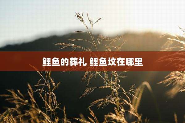 鲤鱼的葬礼 鲤鱼坟在哪里