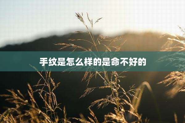 手纹是怎么样的是命不好的